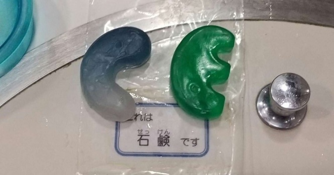 これは...アレじゃないか!(画像提供:taku@lotusseeds32さん)