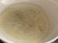 551が〝ある時〟なのに超絶望...　悲惨すぎる「チンの結果」に10万人が涙を吞んだ