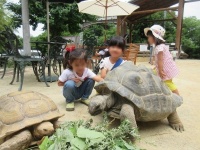 行方不明のアブー（画像右側。渋川動物公園提供、Jタウンネットが一部編集）