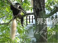 タンザニア・ポレポレクラブのプレスリリース画像