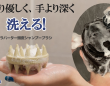 株式会社RICOのプレスリリース画像