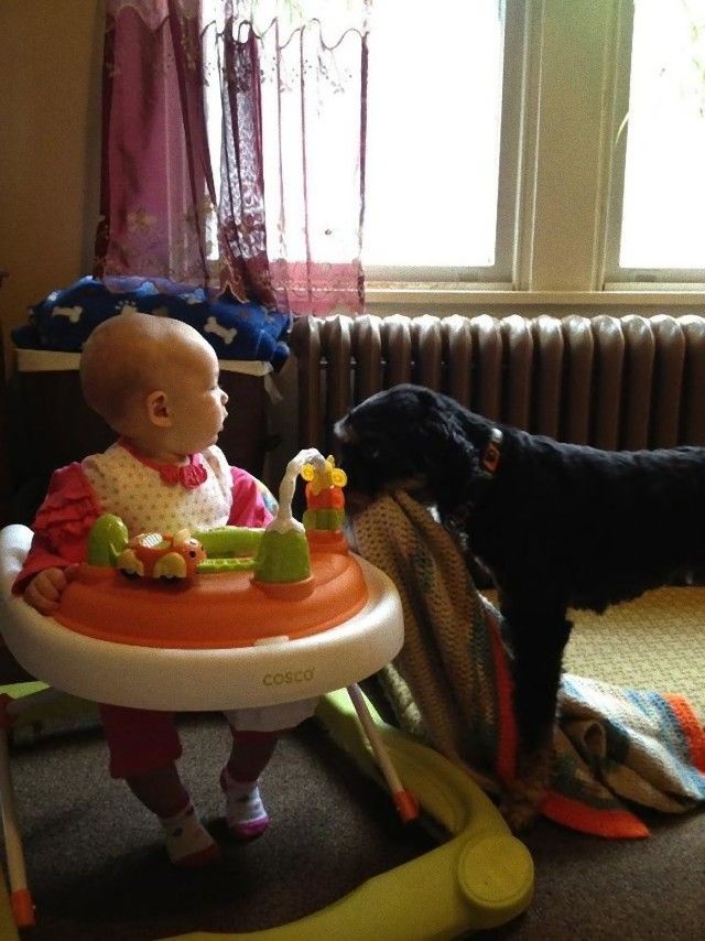 5a980159d0c46_pQh9a__605_e