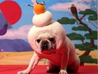 ロート製薬株式会社 のプレスリリース画像