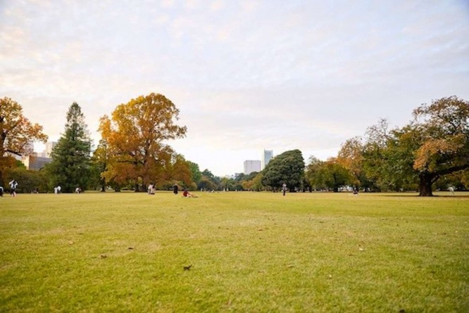写真提供「新宿御苑管理事務所」　（C）Shinjuku Gyoen National Garden Office