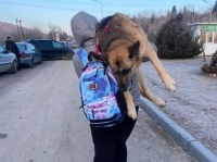 年老いた大型犬を抱きかかえ、国境目指して17kmの道のりを歩くウクライナの避難民