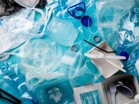 プラスチックゴミ問題の救世主となるか？プラスチックだけを食べて生き延びられるワックスワーム（カナダ研究）