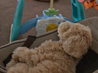 赤ちゃんに憧れて……？あるものでウトウトしちゃったワンちゃんが話題♪