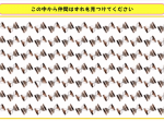 【ひらめき力クイズ】超難問シリーズ。この中から仲間外れをみつけろ！