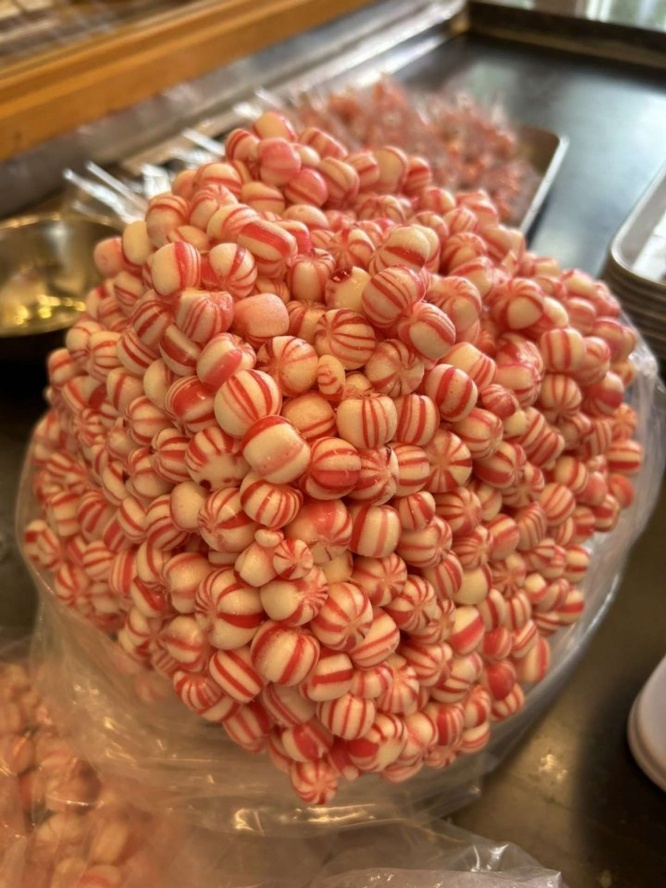画像は再掲