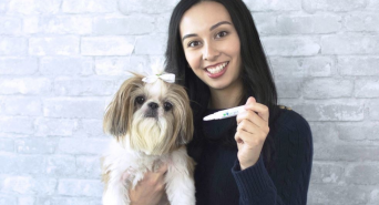 株式会社ローズクリエイトのプレスリリース画像