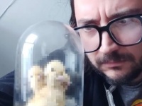 誰が？いったい何のために？注文していないのに三つ首のアヒルの剥製が送られてきた件（カナダ）