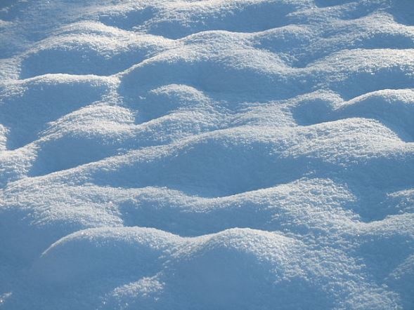 降り積もった雪。写真はイメージです（Emmanuel Boutetさん撮影、Wikimedia Commons