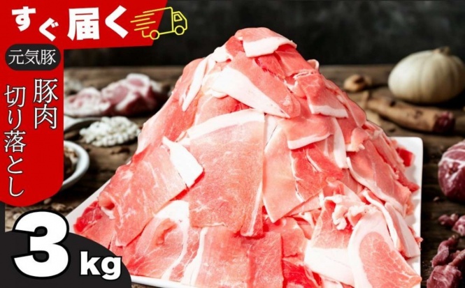千葉県 多古町「<小分けで便利>国産 元気豚 切り落とし 3kg(500g×6袋)」10,000 円(ふるさとチョイスより)