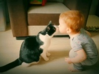 サヨナラ、思い出いっぱいのアパートメント！保護猫プーシクくん、8年間過ごしたおうちに別れを告げに行く
