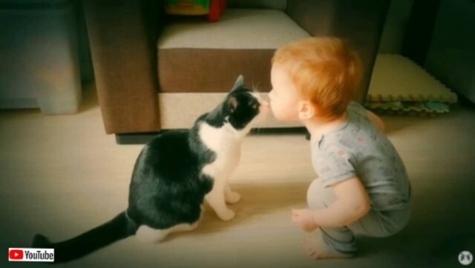 サヨナラ、思い出いっぱいのアパートメント！保護猫プーシクくん、8年間過ごしたおうちに別れを告げに行く