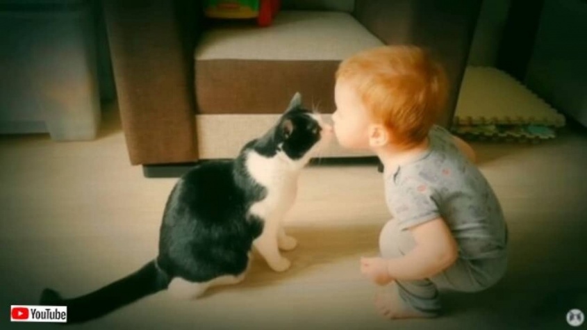 サヨナラ、思い出いっぱいのアパートメント！保護猫プーシクくん、8年間過ごしたおうちに別れを告げに行く