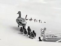 お、おかあさん？排水溝に次から次へと子供たちが転落、そして全員いなくなった...