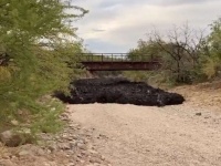 地面を飲み込むように流れ出す、黒い流体の恐怖（アリゾナ州）