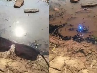 サングラスの偏光レンズを通してみると、まぶしい太陽の光がこんなに穏やかに！