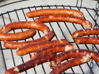 昆虫食の時代はすぐそこへ。肉に代わる新食材、ウジ虫のソーセージが登場（オーストラリア研究）