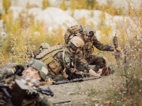 最強の衛生兵はウジ虫なのかもしれない。戦争地帯で負傷した兵士の傷の治療にウジ虫が導入される予定（イギリス・アメリカ・オランダ）