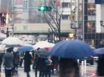 雨の日に高層階で窃盗 「雨イジングスパイダーマン」が逮捕される！