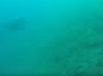 ダイビング中に地震発生！⇒その時ウミガメは…