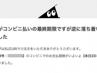 「誤って注文をされたに違いないと信じられるようになりました」　ユニークな支払い督促メールに反響→効果はあるの？送り主に聞いた