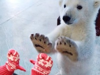 見ているだけで幸せな気分になれる、ありのままの姿を見せる動物たちの写真