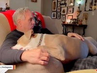 ネット越しの運命の出会い！HPで保護犬の顔を見たご夫妻、シェルターに彼女を迎えに行く