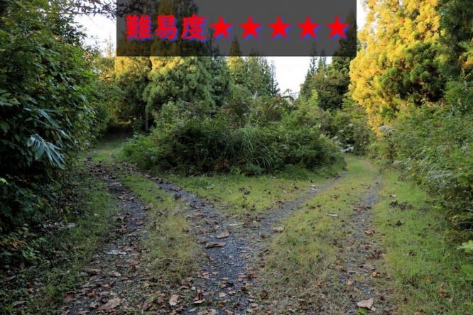 県道は右側だった（画像は再掲）