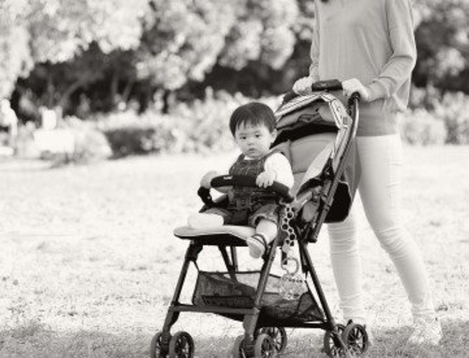 犬を抱き、ベビーカーを押してたら...（画像はイメージ）