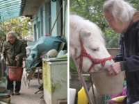 病気や障がいをかかえた動物たちを30年以上にわたって世話をするおじいさん「世界一孤独な動物園」