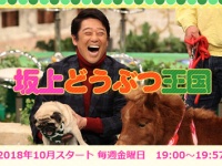 フジテレビ系『坂上どうぶつ王国』公式サイトより