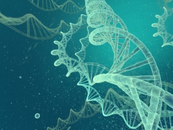 NASAの助成によって開発された地球外DNA、日本語の8文字にちなんで「ハチモジDNA」（米研究）