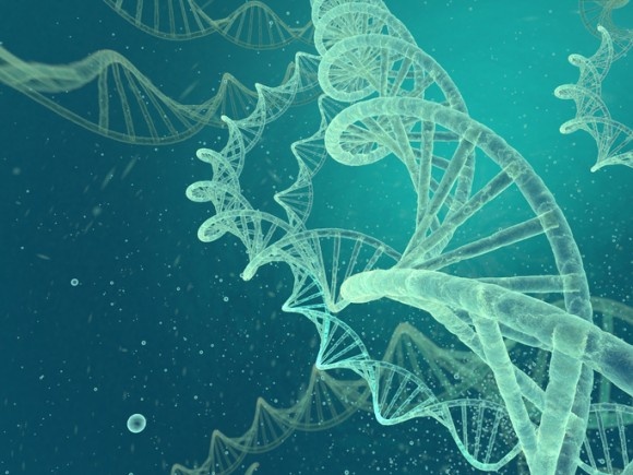 NASAの助成によって開発された地球外DNA、日本語の8文字にちなんで「ハチモジDNA」（米研究）