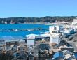 勝浦市の公式ホームページより