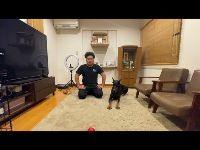 狂犬の正体公式ユーチューブチャンネルより https://www.youtube.com/channel/UCEtd6E-xvFdURsoQUbHYIOw
