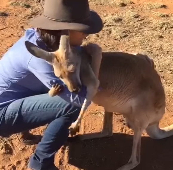 スクリーンショット-(423)