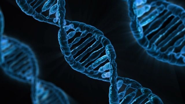 彼女が浮気した原因もコレ? 浮気症の女性は遺伝子に理由があると判明!