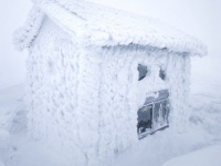 「寒さでシャウトしてる」「入ったら最後」　吹雪の中で目撃された「モンスターハウス」がこちらです