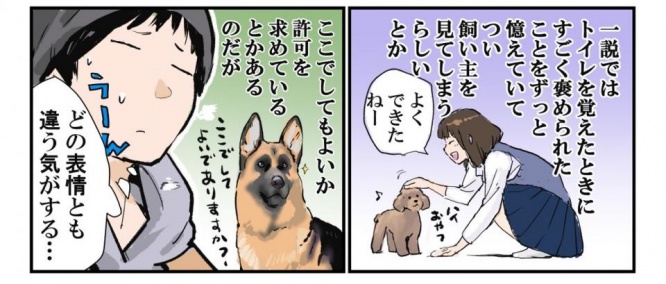 石原さんのツイートより