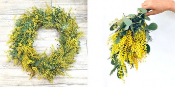 カイト株式会社のプレスリリース画像