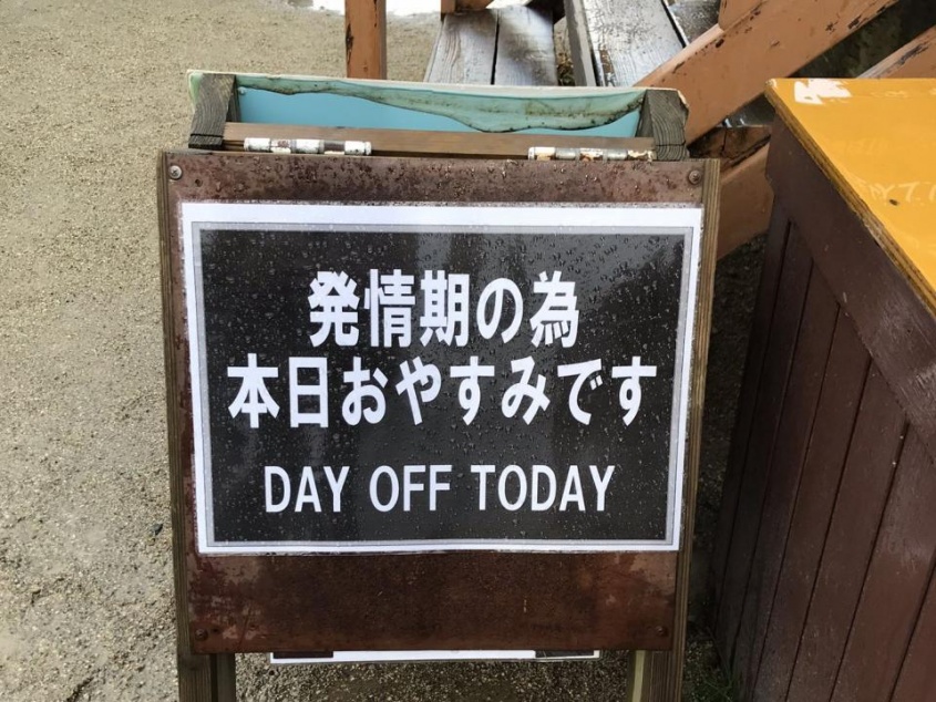 発情期...？（画像はぴこイヌ（＠picoinu）さんから）