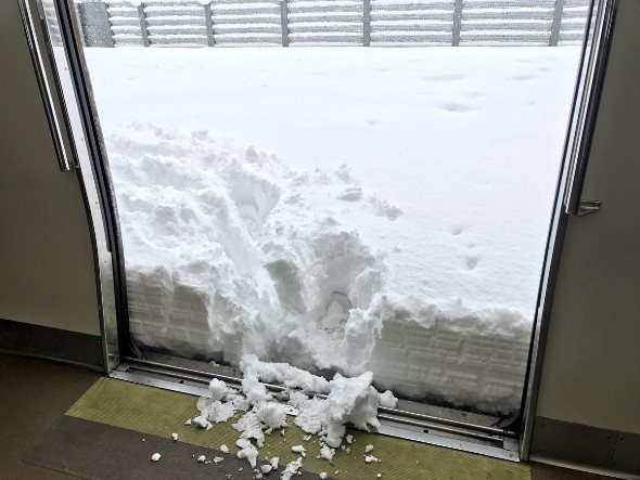 SHINTARO ⇔ official. （＠shinkametaro）さんのツイート