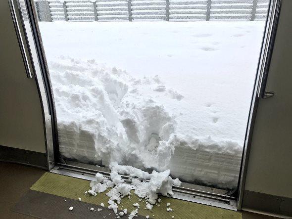 SHINTARO ⇔ official. （＠shinkametaro）さんのツイート