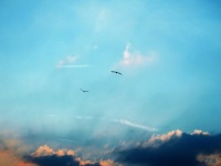 考えすぎてない？　「忘れる」ことが大事な理由