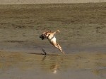 なんだこの生物！？　iPhoneのカメラが生んだ奇跡的な写真達