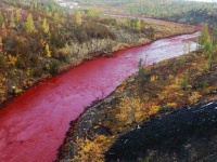 ロシア・シベリアの川が突如血の赤に染まり住民パニック