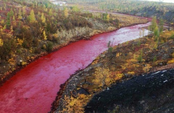 ロシア・シベリアの川が突如血の赤に染まり住民パニック